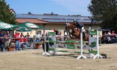 reiten-03.jpg